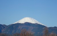 ファイル 1076-1.jpg