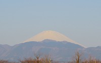 ファイル 1537-1.jpg
