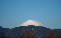 ファイル 2528-1.jpg