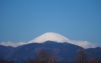 ファイル 2614-1.jpg