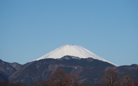 ファイル 2959-1.jpg