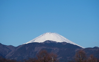 ファイル 2967-1.jpg
