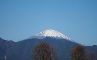 ファイル 3598-1.jpg