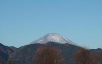 ファイル 4028-1.jpg
