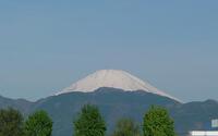 ファイル 5591-1.jpg