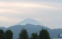 ファイル 5685-1.jpg