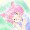 昼寝をする猫