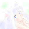 年賀猫娘